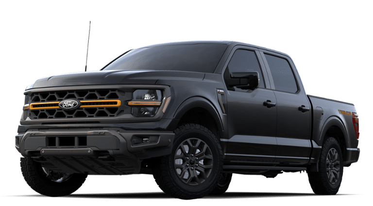 2024 Ford F-150 Vehicle Photo in Weatherford, TX 76087